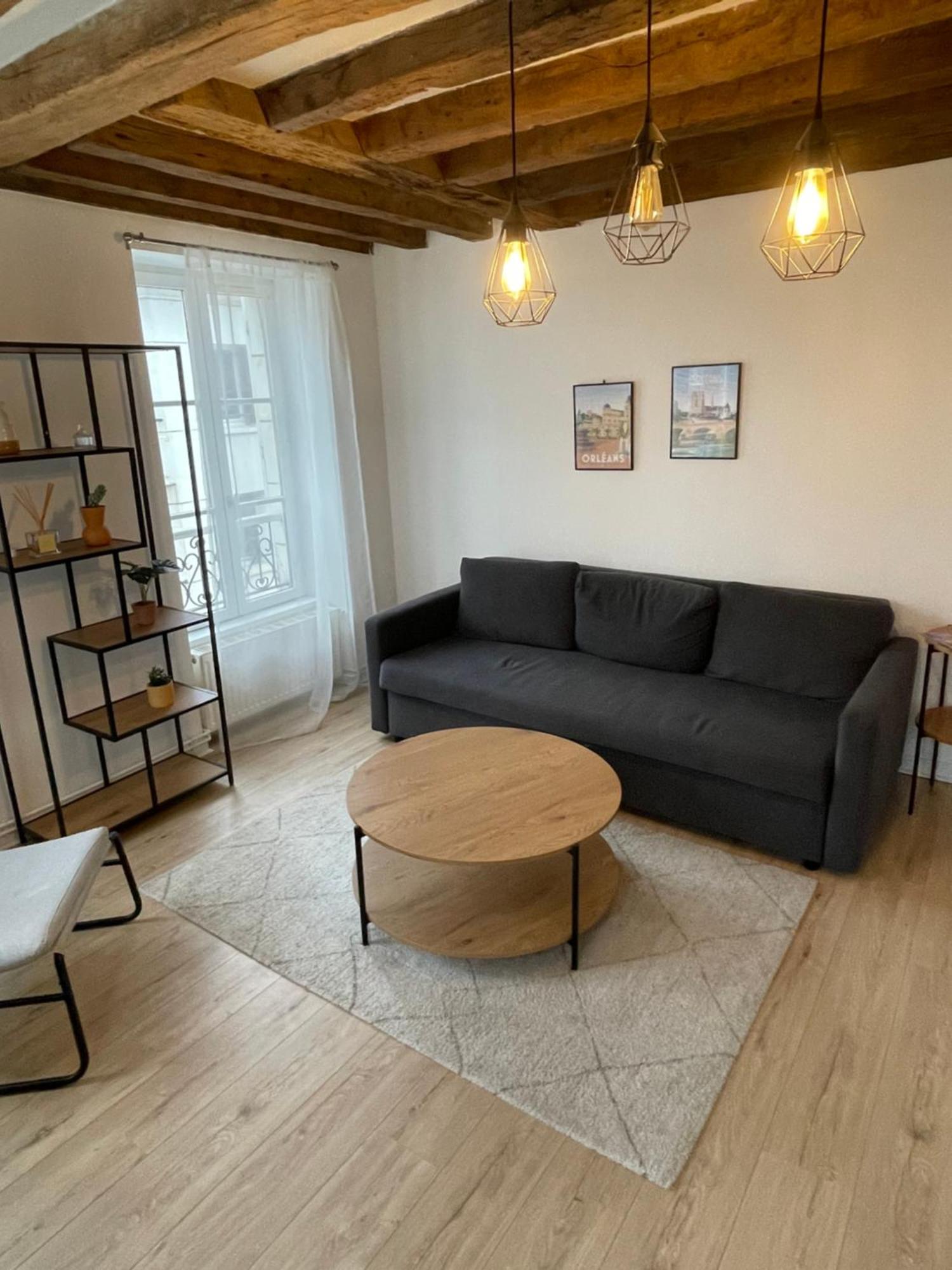 Charmant Appartement Orleans ! エクステリア 写真