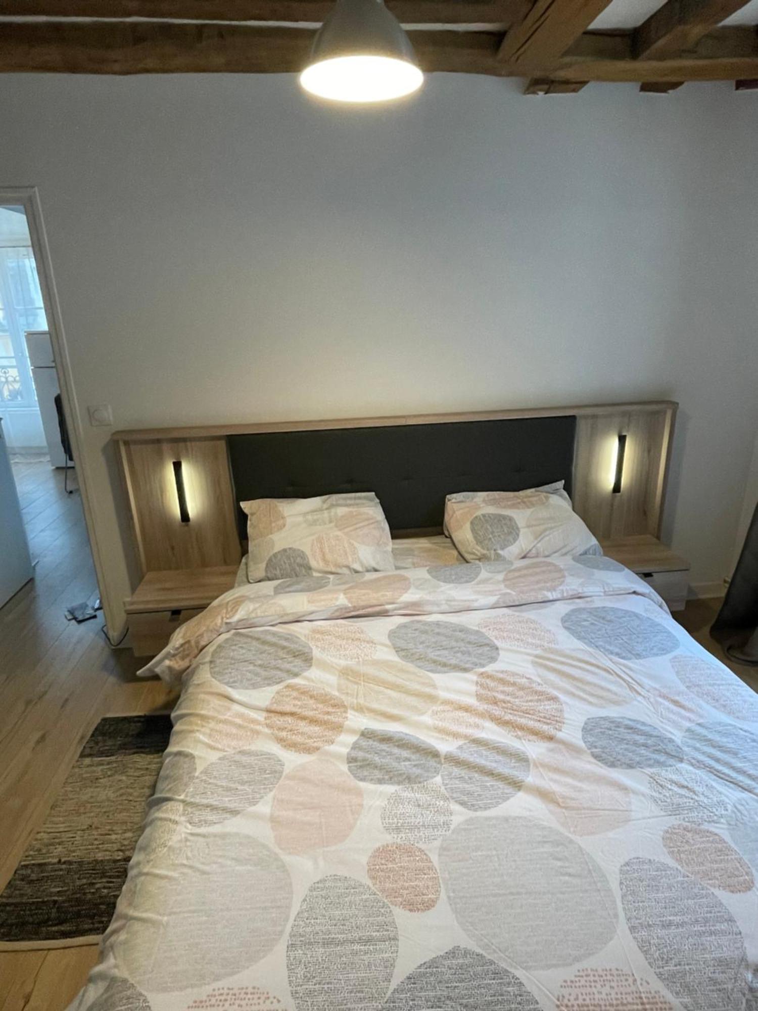 Charmant Appartement Orleans ! エクステリア 写真